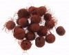 Açaí crespim (peludo) vermelho (sem furo) - 100 sementes
